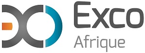 logo-afrique-vec